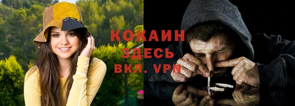 прущие грибы Балахна