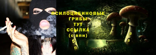 хмурый Балабаново
