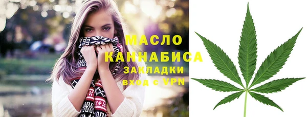 гидра Михайловск
