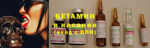 прущие грибы Балахна