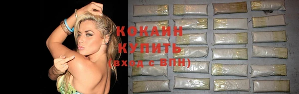 прущие грибы Балахна