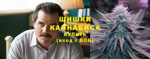 прущие грибы Балахна