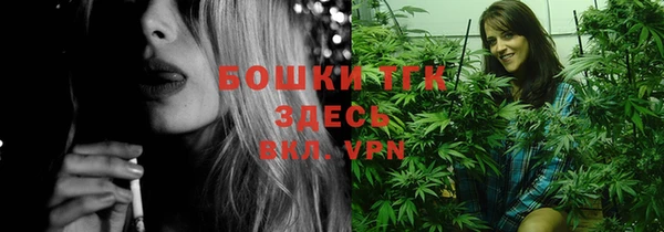 прущие грибы Балахна