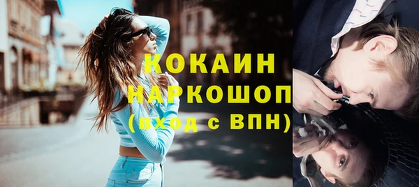 прущие грибы Балахна