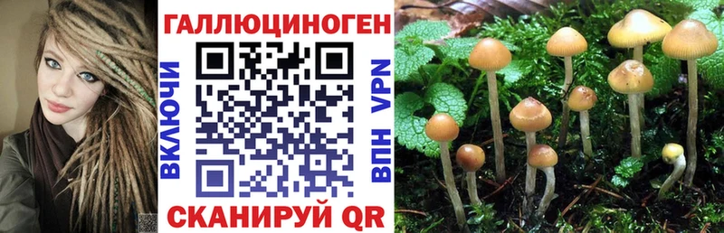 Псилоцибиновые грибы Magic Shrooms  маркетплейс как зайти  Усть-Джегута 